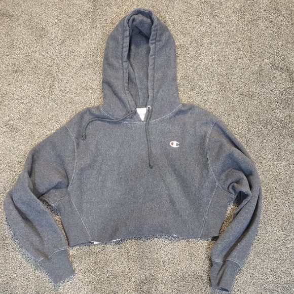 Champion Women Reverse Weave Crop Gray Pullover Hoodie Sweater Hood Sz L - Picture 1 of 5